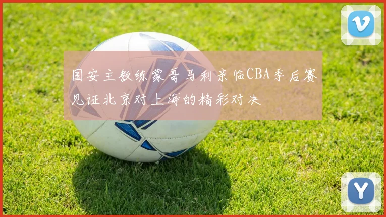 国安主教练蒙哥马利亲临CBA季后赛见证北京对上海的精彩对决